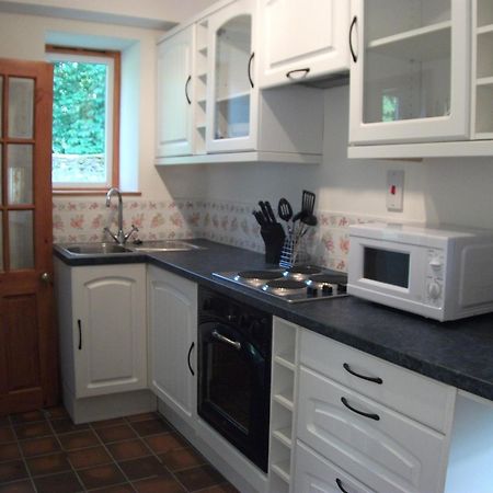 Bryn Cottage Llandderfel Zewnętrze zdjęcie