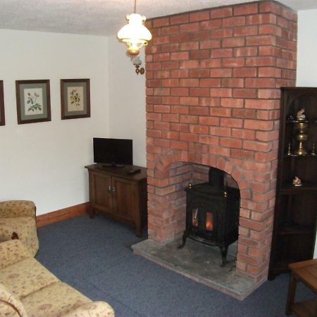 Bryn Cottage Llandderfel Zewnętrze zdjęcie