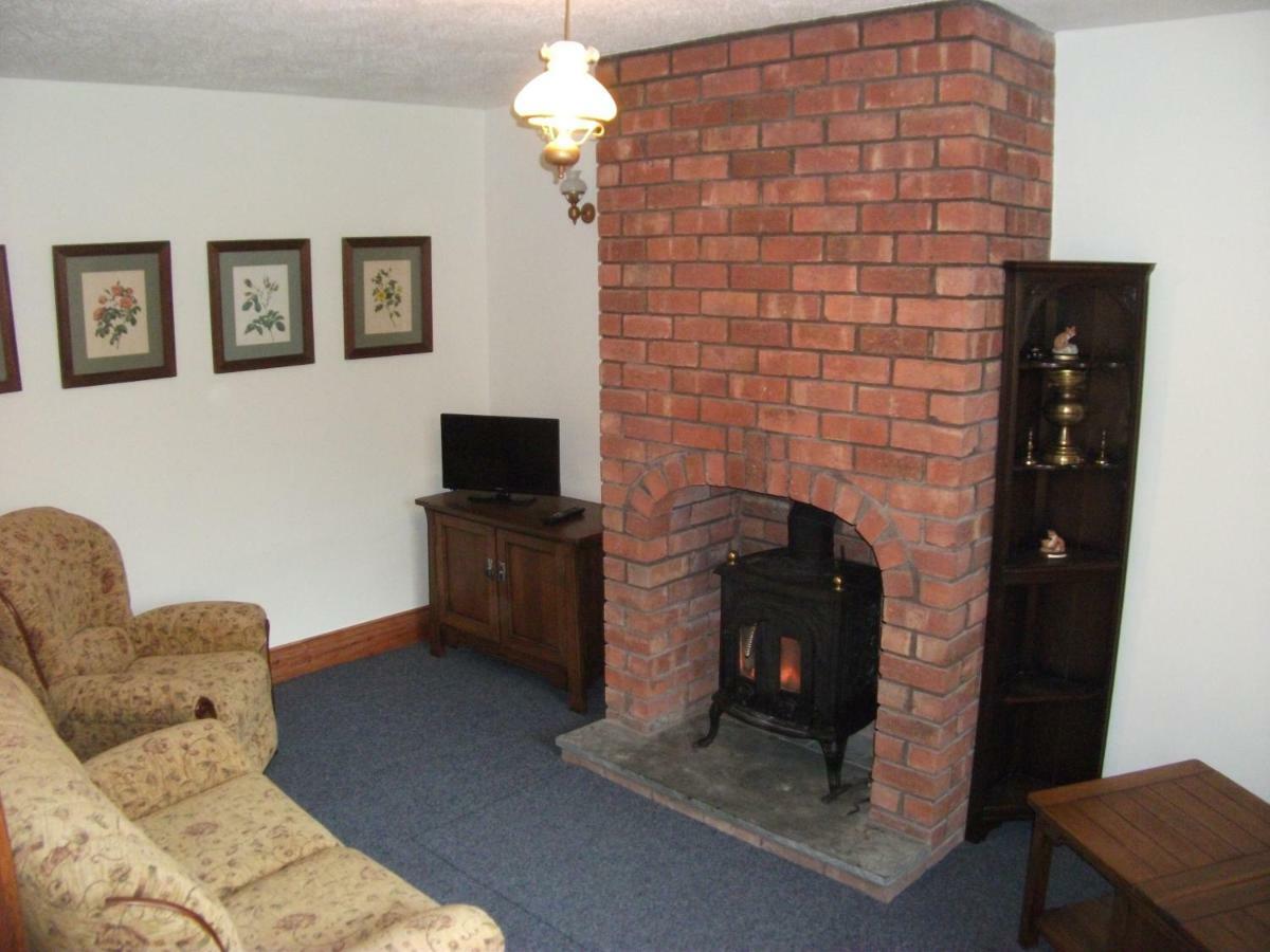 Bryn Cottage Llandderfel Zewnętrze zdjęcie